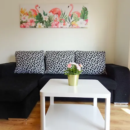Apartament Rs Vilar